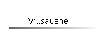 Villsauene